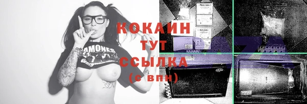 гашик Осинники