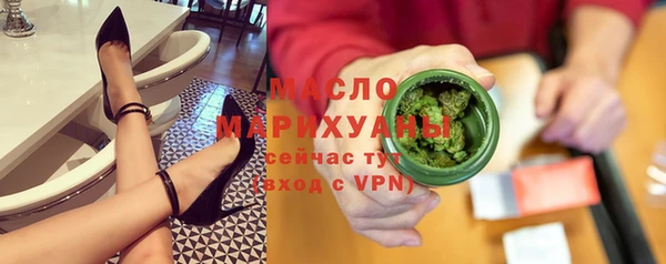гашик Осинники