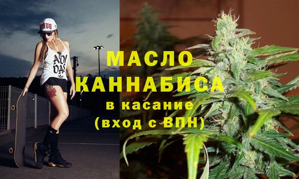 гашик Осинники