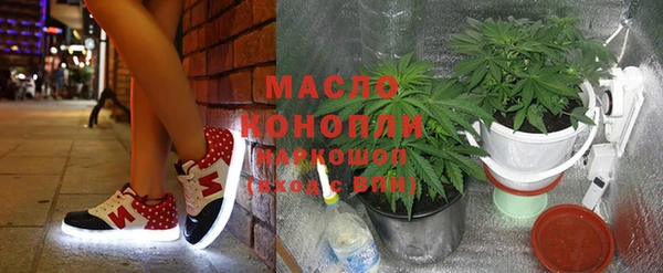 гашик Осинники