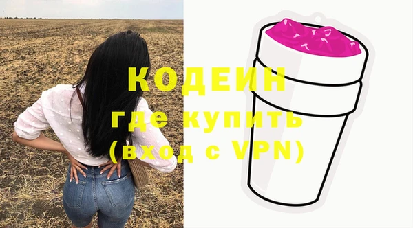 гашик Осинники
