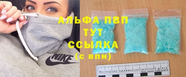 гашик Осинники
