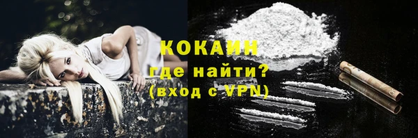 гашик Осинники