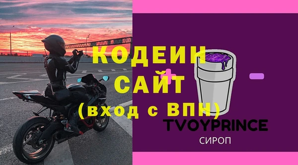 гашик Осинники